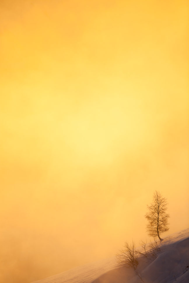 stage photo bauges en hiver