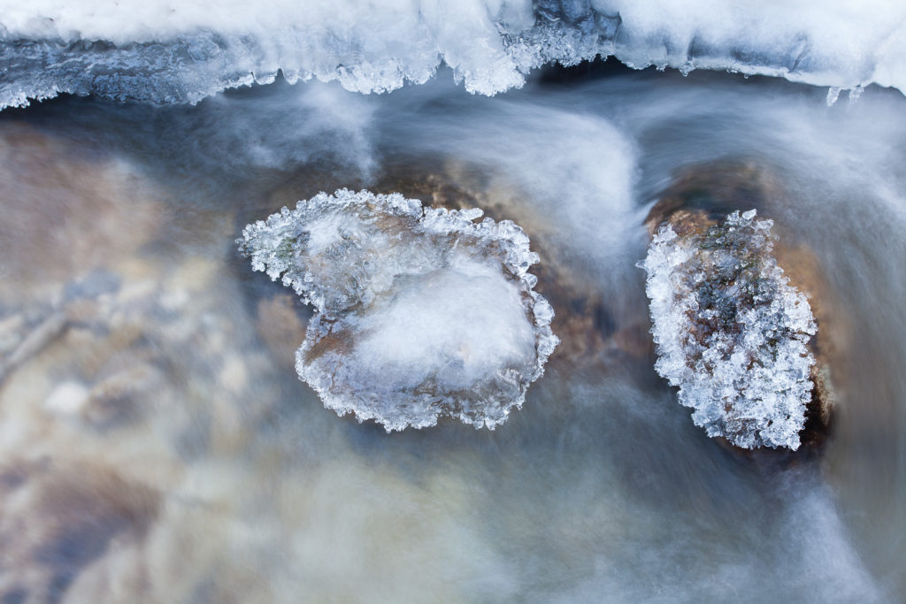 Un oeil sur la Nature | FRANCE – Bauges secrètes en hiver