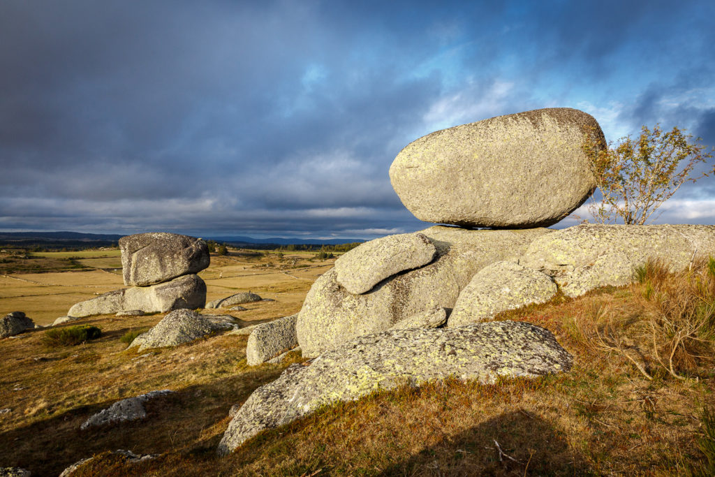 Un oeil sur la Nature | FRANCE – L’Aubrac en automne