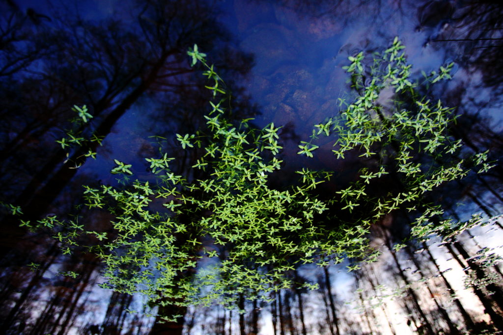 Un oeil sur la Nature | FRANCE – 100m²