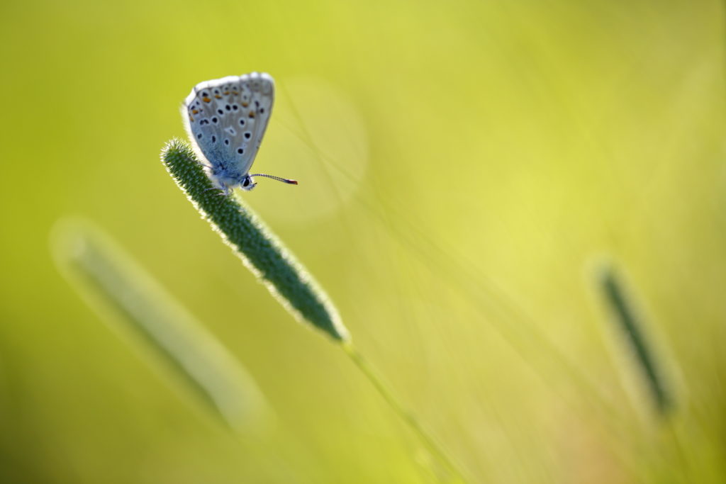 Un oeil sur la Nature | FRANCE – 100m²