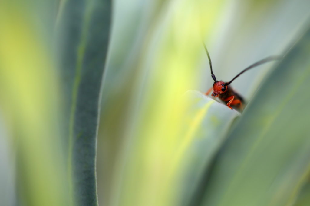 Un oeil sur la Nature | FRANCE – 100m²