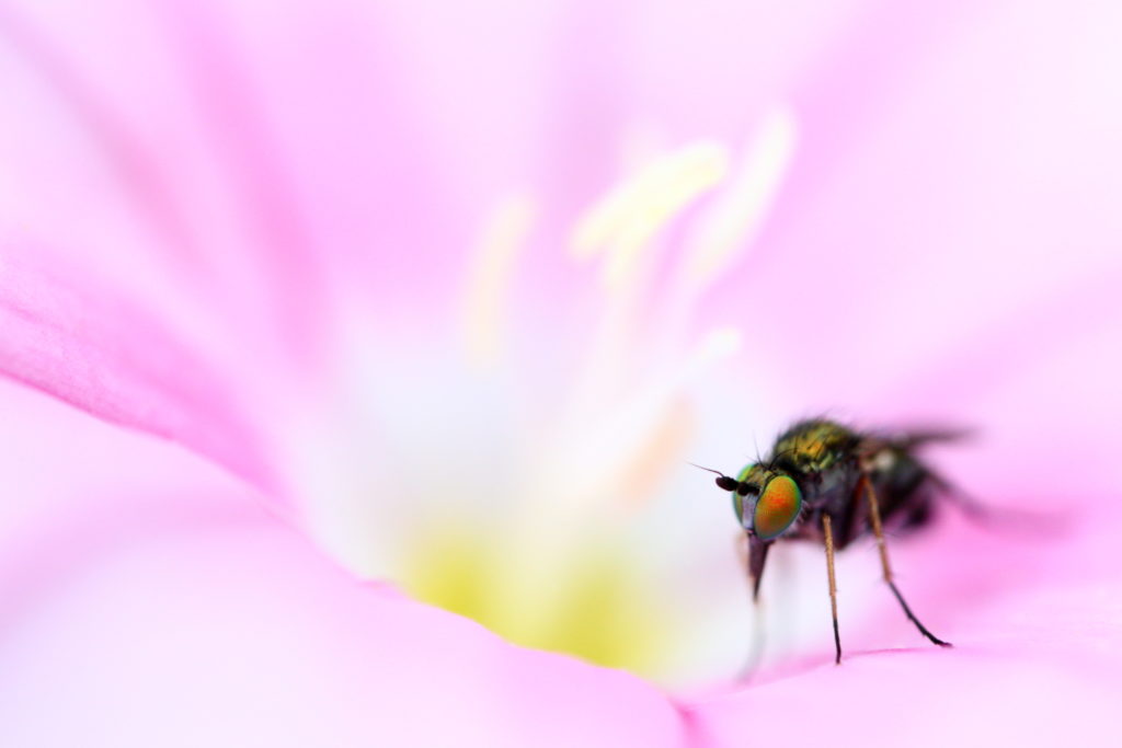 Un oeil sur la Nature | FRANCE – 100m²