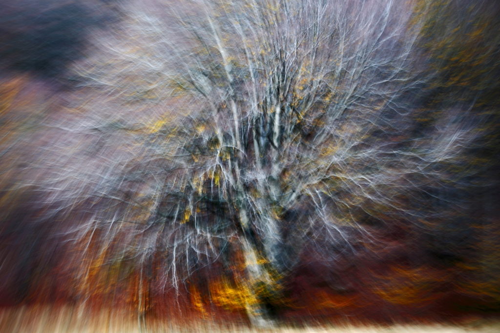 Un oeil sur la Nature | FRANCE – Ambiances automnales en Cévennes