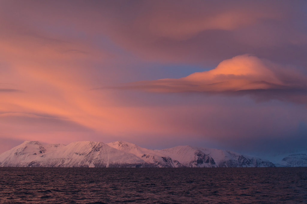 Un oeil sur la Nature | NORVÈGE – Orques et aurores boréales