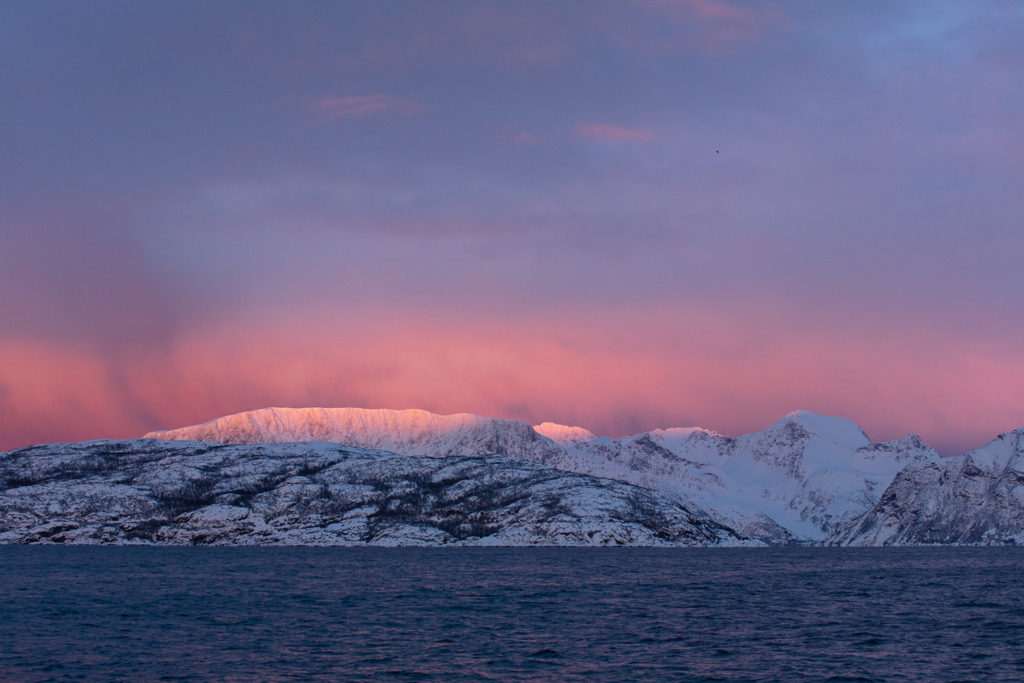 Un oeil sur la Nature | NORVÈGE – Orques et aurores boréales