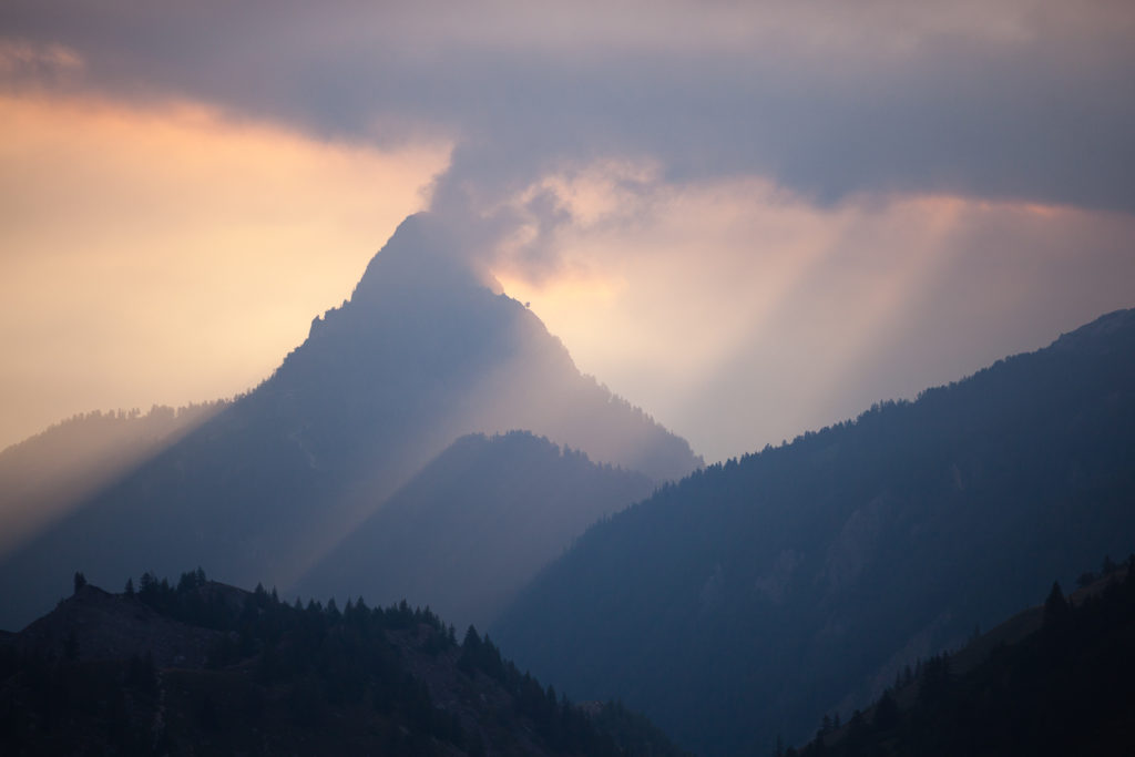 Un oeil sur la Nature | FRANCE-ITALIE-SUISSE – Géants des Alpes