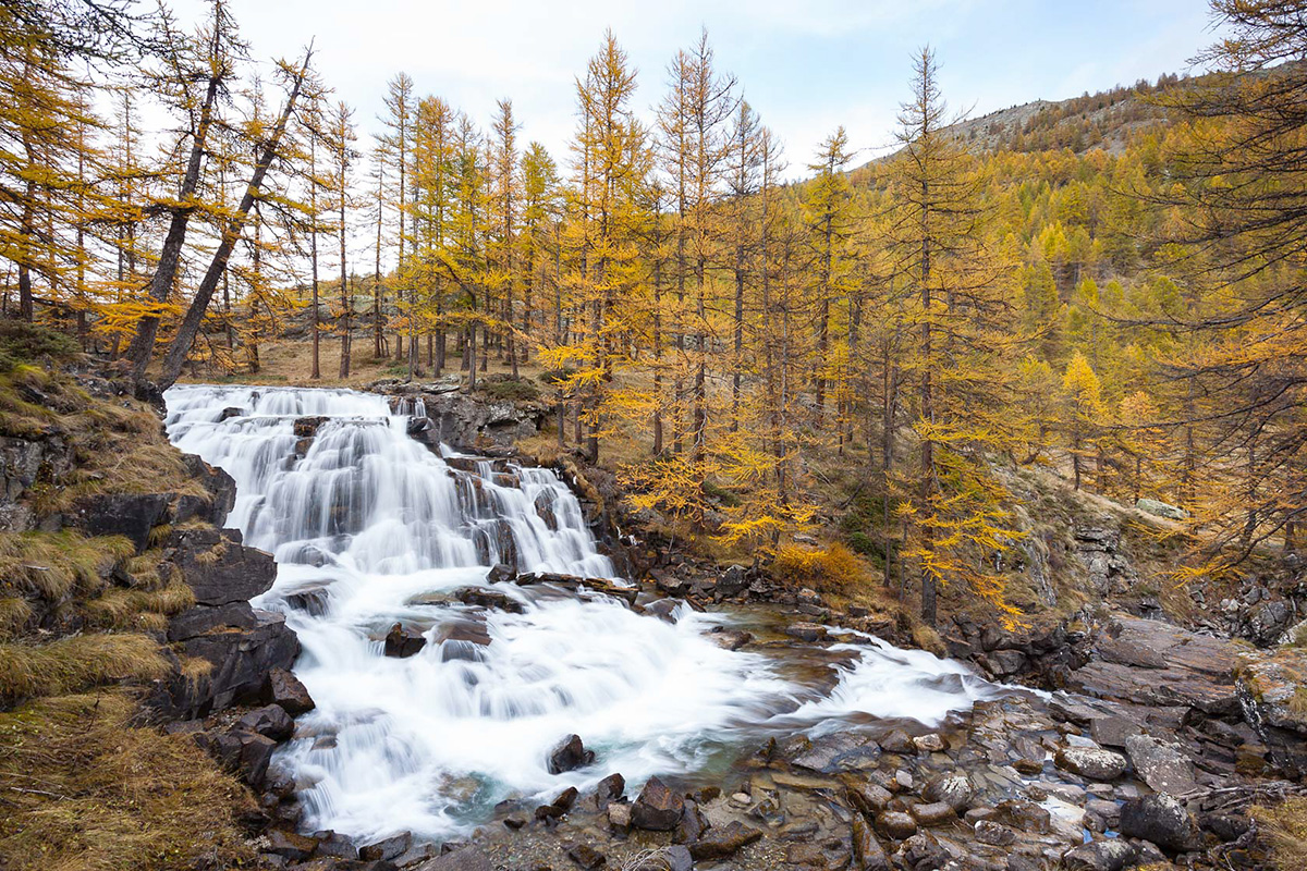 mélèzes en automne dans la vallée de la Clarée