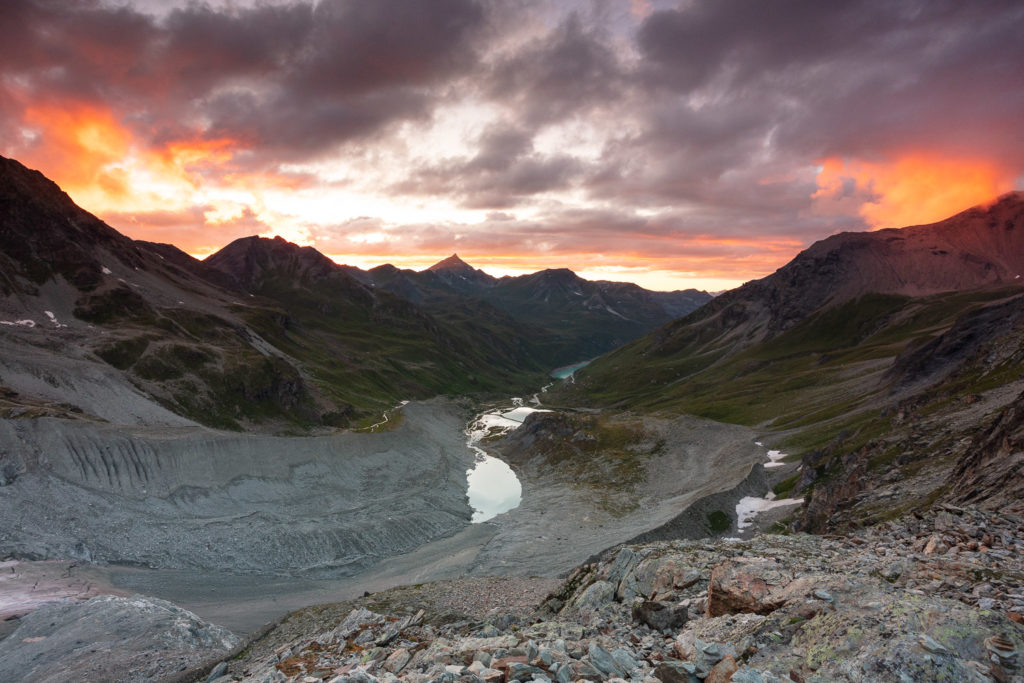 Un oeil sur la Nature | FRANCE-ITALIE-SUISSE – Géants des Alpes