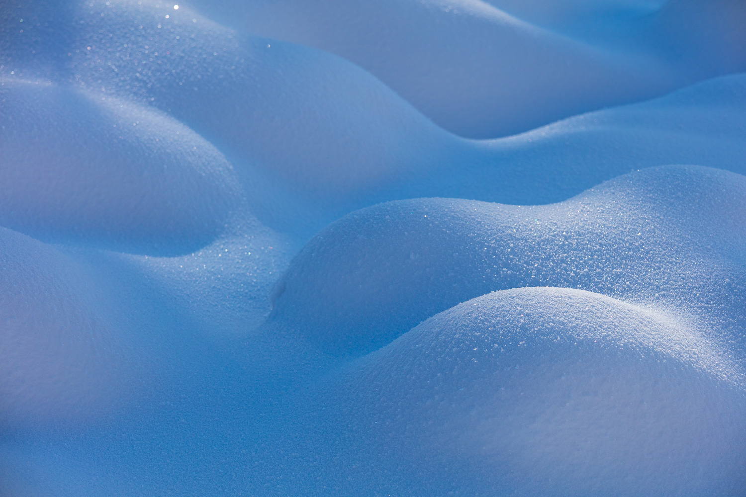rondeurs de la neige en stage photo dans le massif des Bauges en hiver