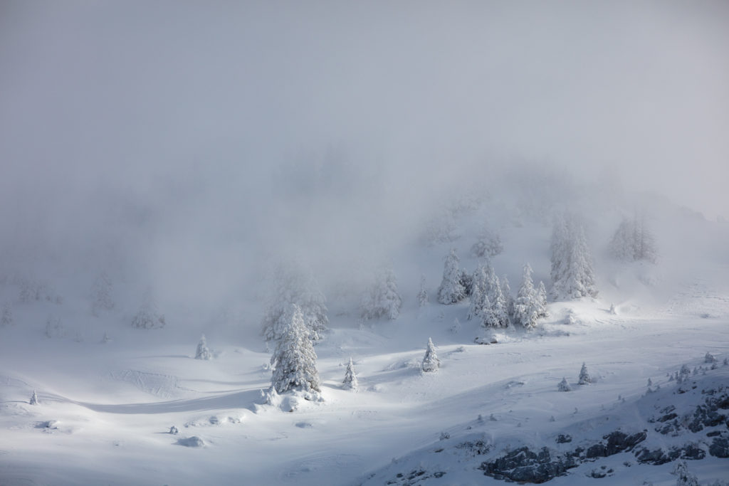 Un oeil sur la Nature | FRANCE – Bauges secrètes en hiver