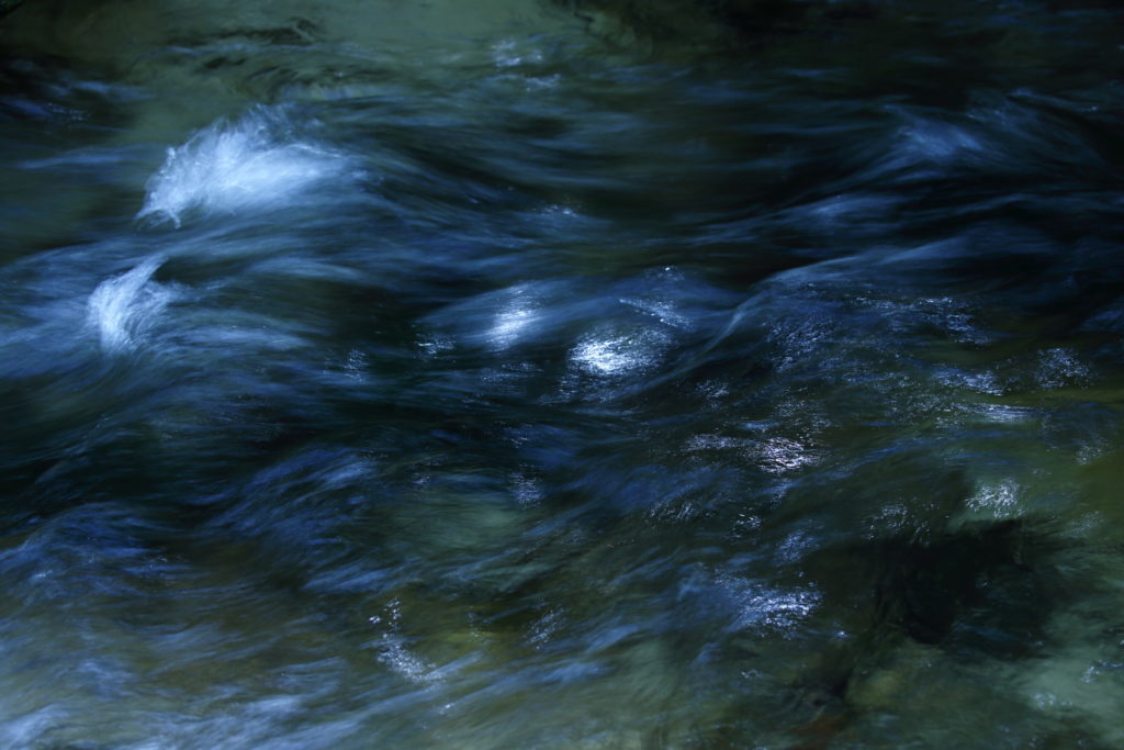 Un oeil sur la Nature | FRANCE – Effervescence en bords de rivières