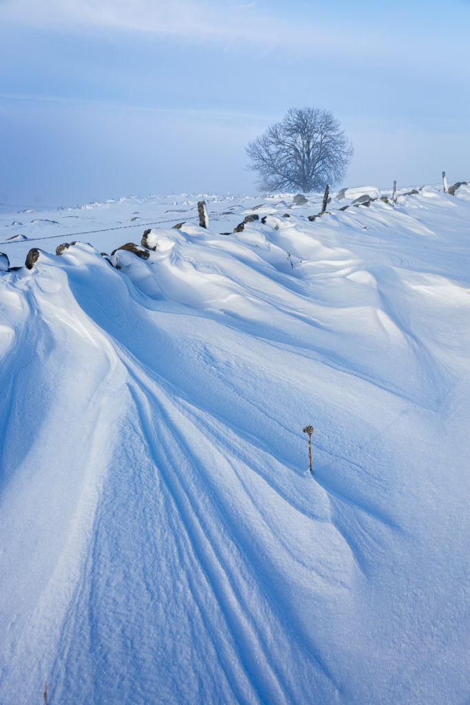 Un oeil sur la Nature | FRANCE – L’Aubrac en parure d’hiver