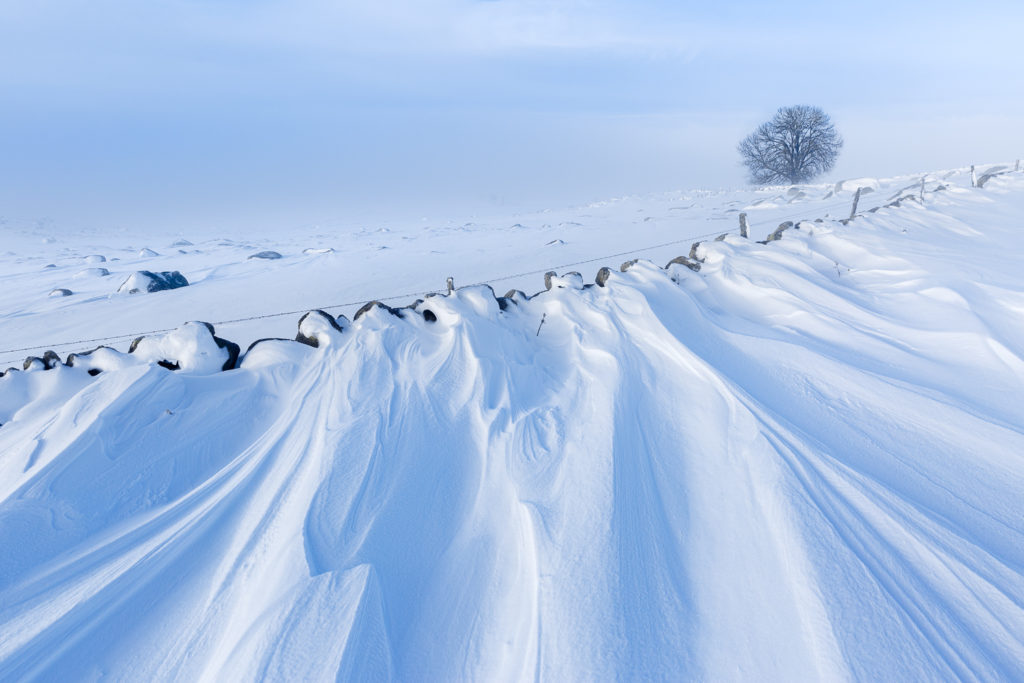 Un oeil sur la Nature | FRANCE – L’Aubrac en parure d’hiver