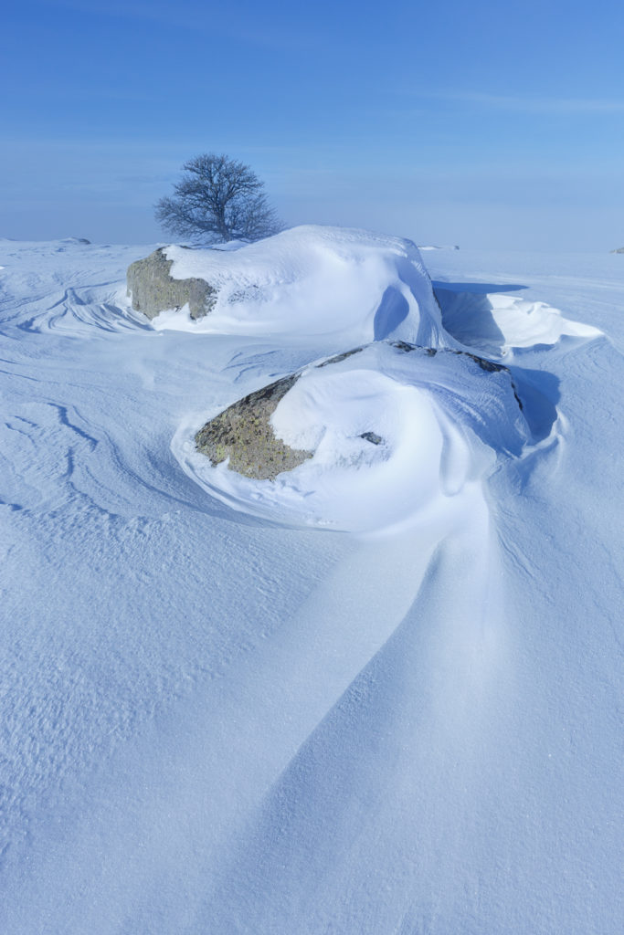 Un oeil sur la Nature | FRANCE – L’Aubrac en parure d’hiver