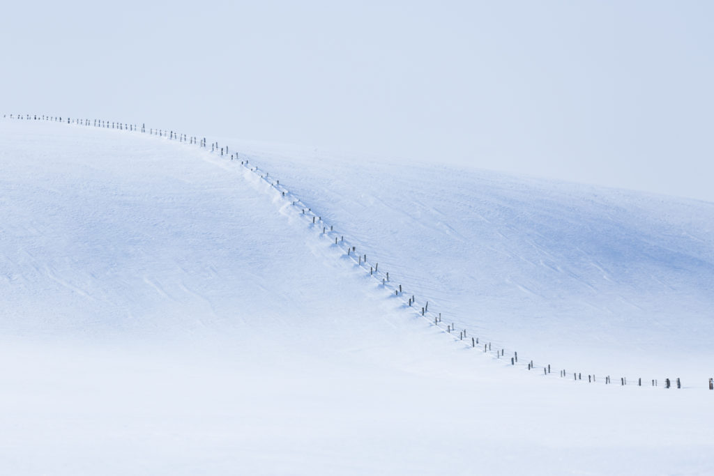 Un oeil sur la Nature | FRANCE – L’Aubrac en parure d’hiver