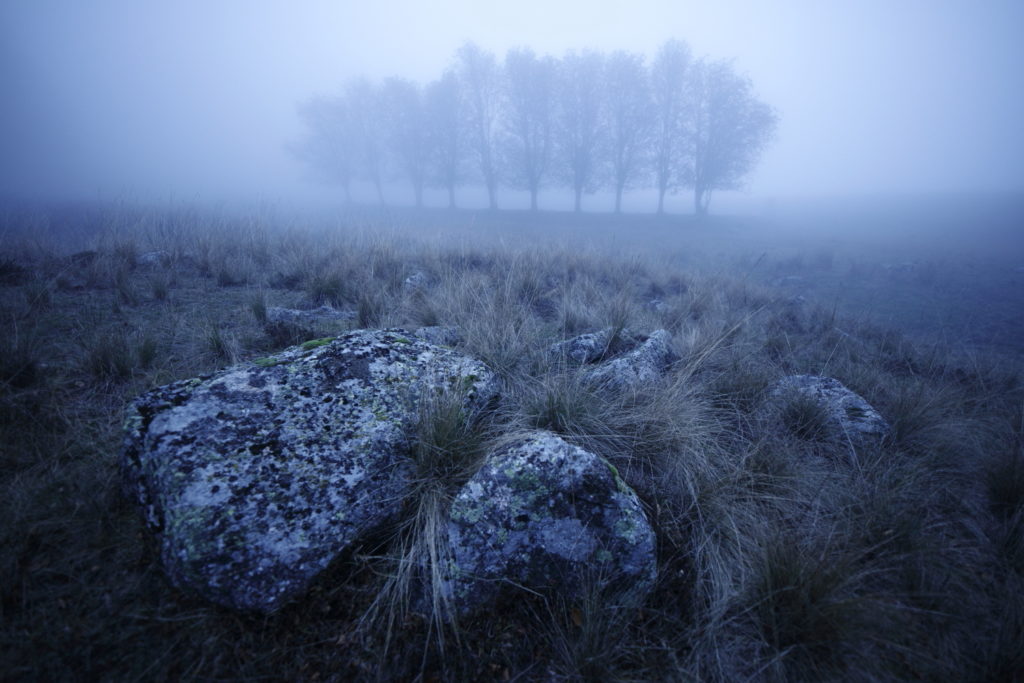 Un oeil sur la Nature | FRANCE – Ambiances automnales en Cévennes