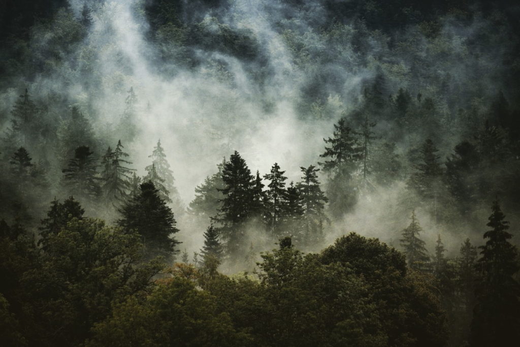 Un oeil sur la Nature | FRANCE – Ambiances automnales en Cévennes