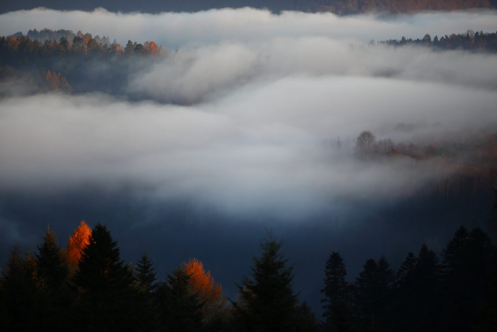 Un oeil sur la Nature | POLOGNE – Un automne dans les Carpates