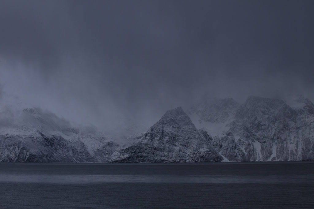 Un oeil sur la Nature | NORVÈGE – Orques et aurores boréales