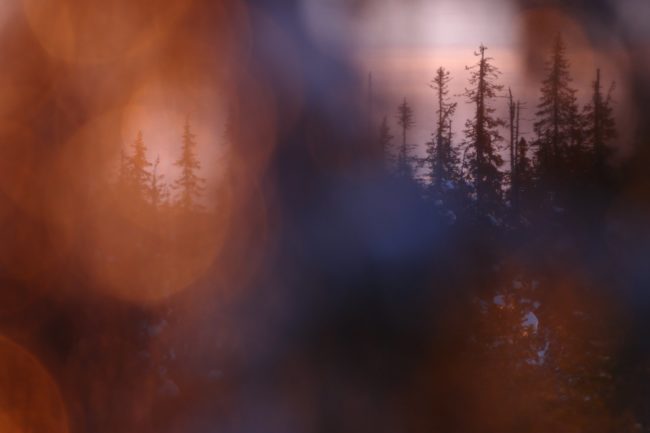 289664785_5900003776693027_1484989533344480632_n