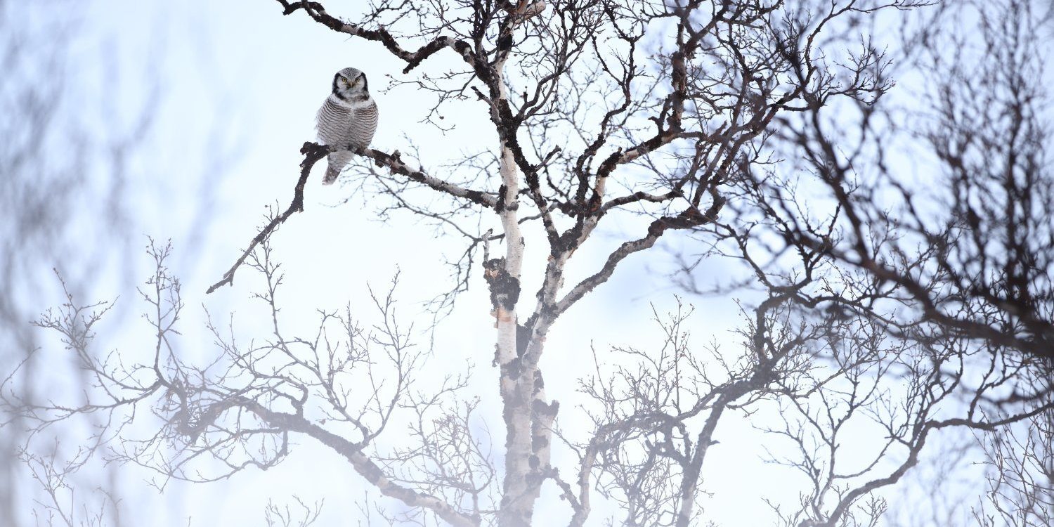 290013673_5905734299453308_7551022236513700414_n