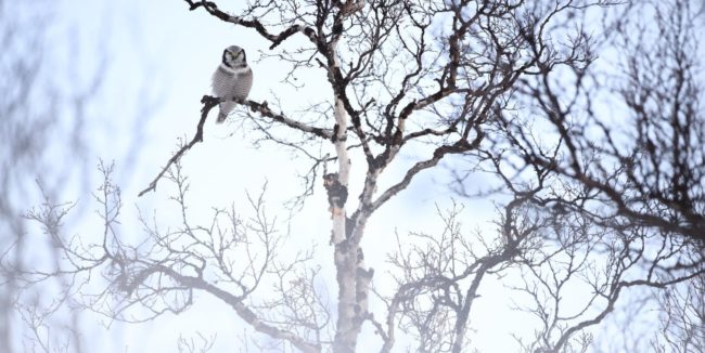 290013673_5905734299453308_7551022236513700414_n