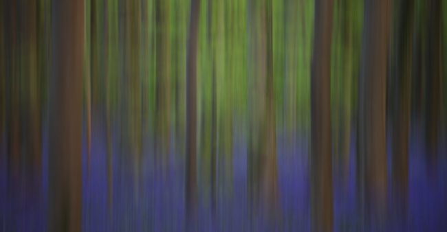 293323265_5954841587875912_5619669354808503570_n