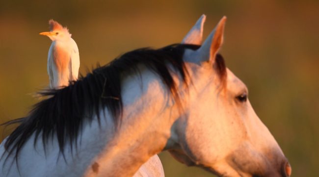 293800123_5964205946939476_5037265152139368589_n