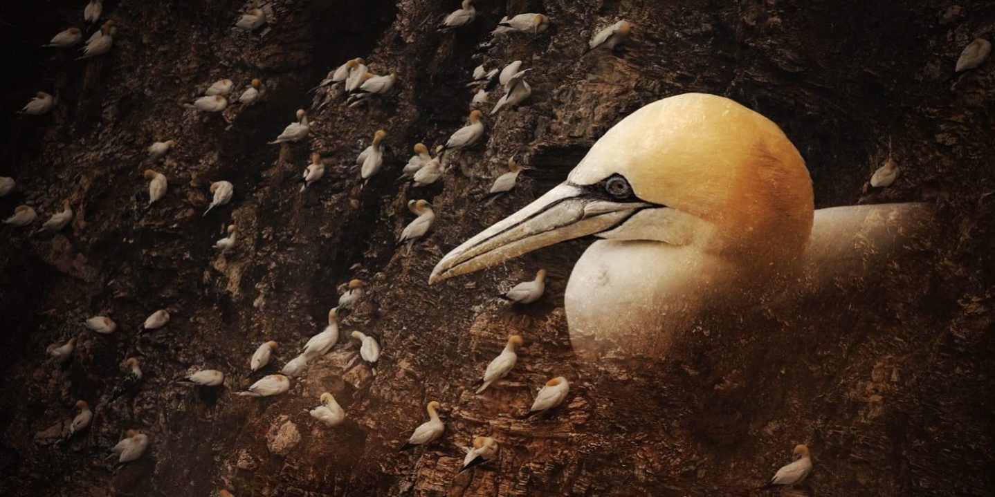 296684808_6011553405538063_7945800944346467292_n