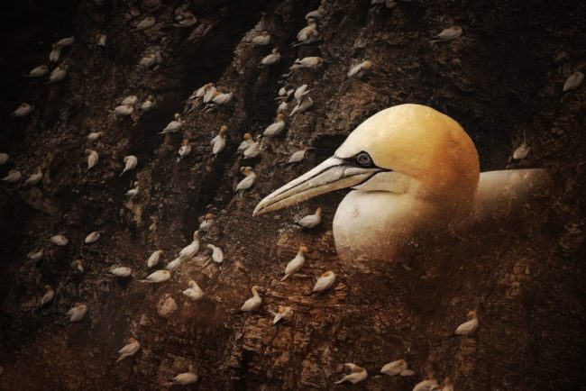 296684808_6011553405538063_7945800944346467292_n