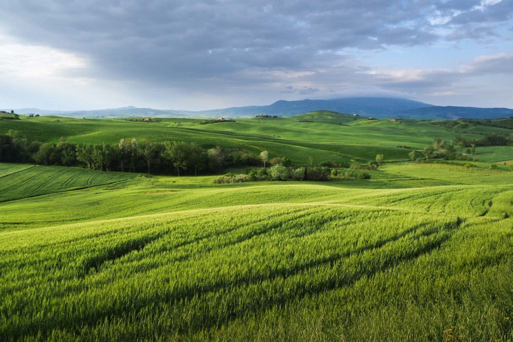 Un oeil sur la Nature | ITALIE – La Toscane au printemps