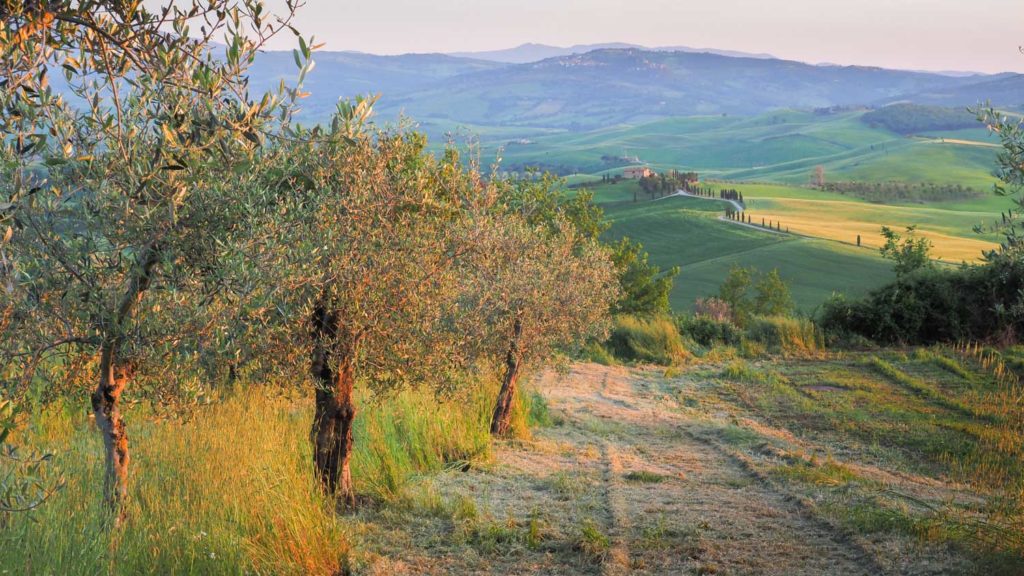 Un oeil sur la Nature | ITALIE – La Toscane au printemps