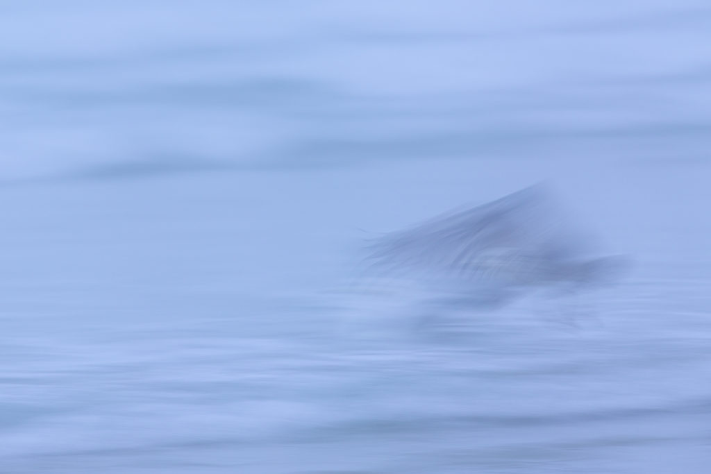 Un oeil sur la Nature | FRANCE – Photo de mer en Bretagne