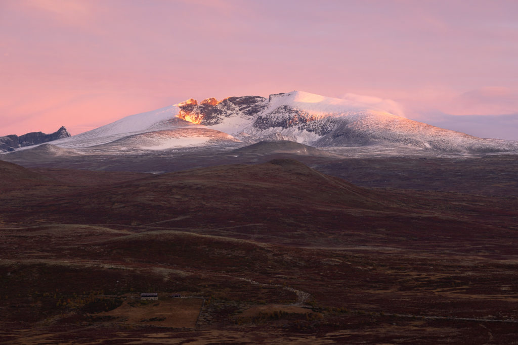 Snøhetta à l'aube, dans le parc de Dovrefjell