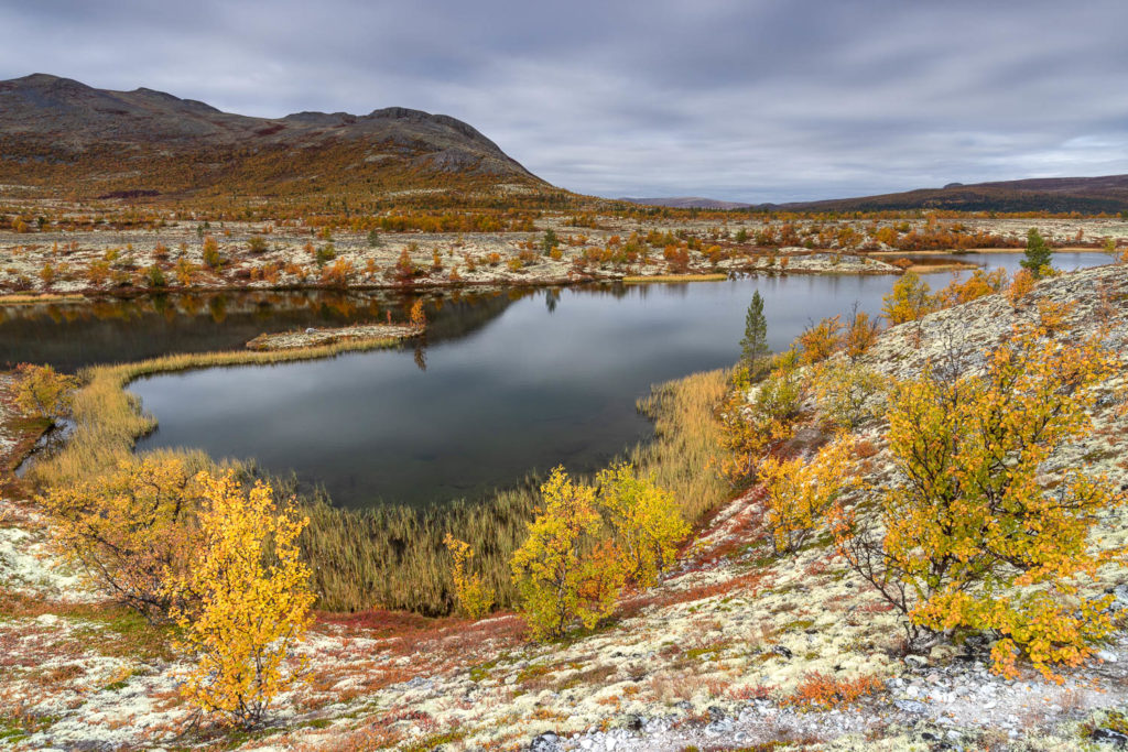 paysage de la Døralen, dans le parc national de Rondane