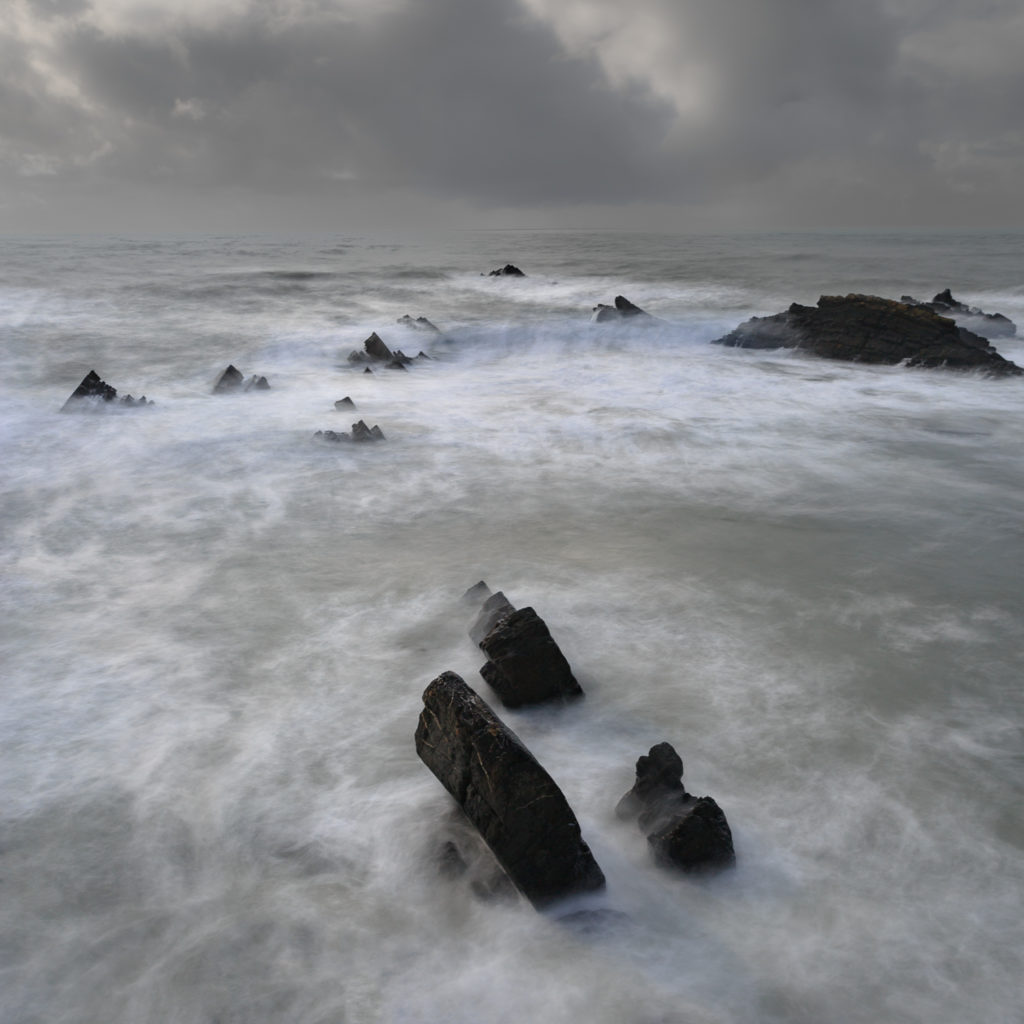 Un oeil sur la Nature | ANGLETERRE – Côtes sauvages de Cornouailles et du Devon