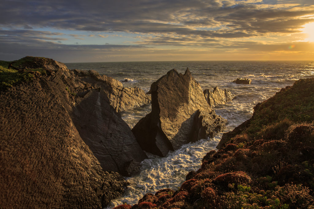 Un oeil sur la Nature | ANGLETERRE – Côtes sauvages de Cornouailles et du Devon