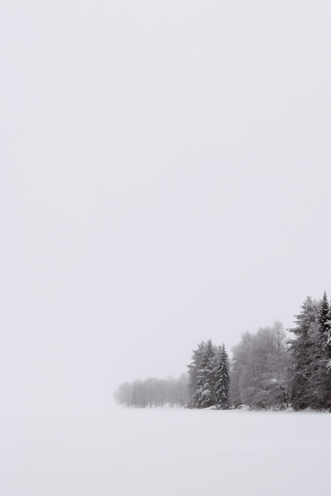Un oeil sur la Nature | FINLANDE – Féerie hivernale