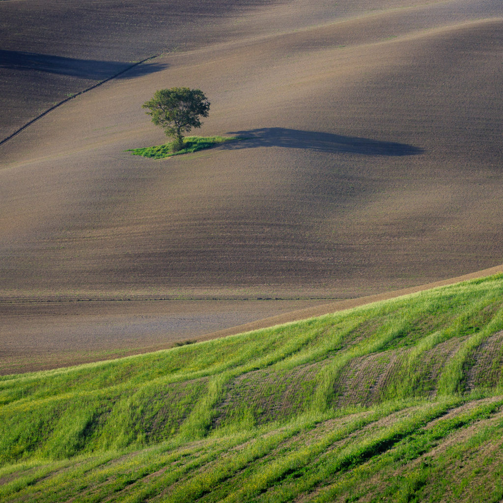 Un oeil sur la Nature | ITALIE – Couleurs d’automne en Toscane