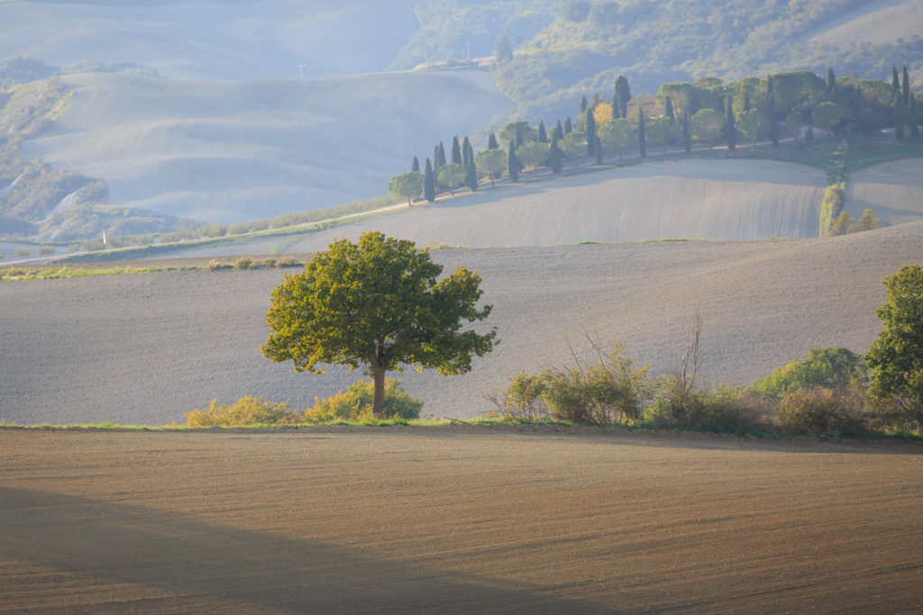Un oeil sur la Nature | ITALIE – Couleurs d’automne en Toscane