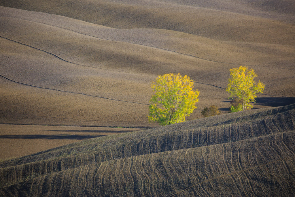 Un oeil sur la Nature | ITALIE – Couleurs d’automne en Toscane