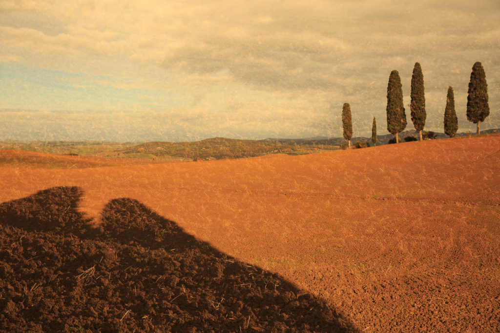 Un oeil sur la Nature | ITALIE – Couleurs d’automne en Toscane