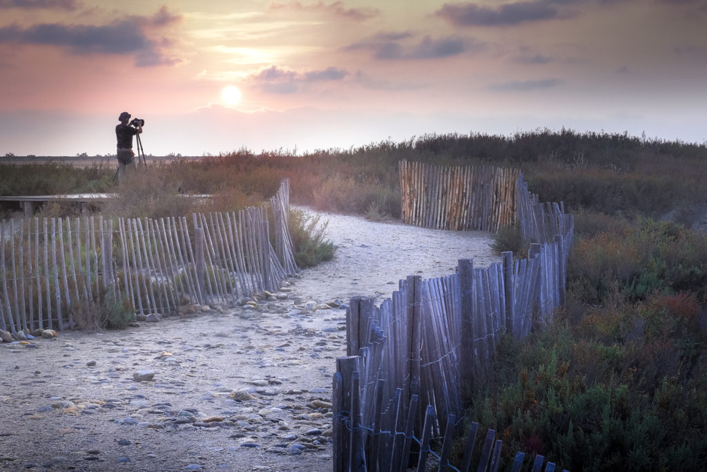 Un oeil sur la Nature | FRANCE – La Camargue au printemps