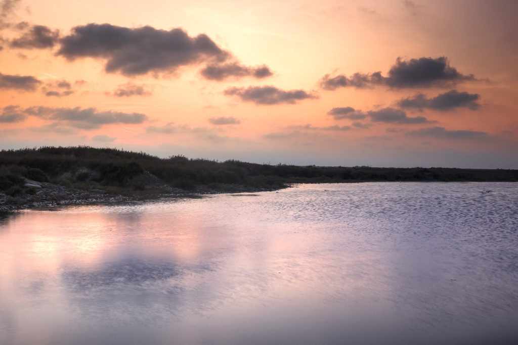 Un oeil sur la Nature | FRANCE – La Camargue au printemps