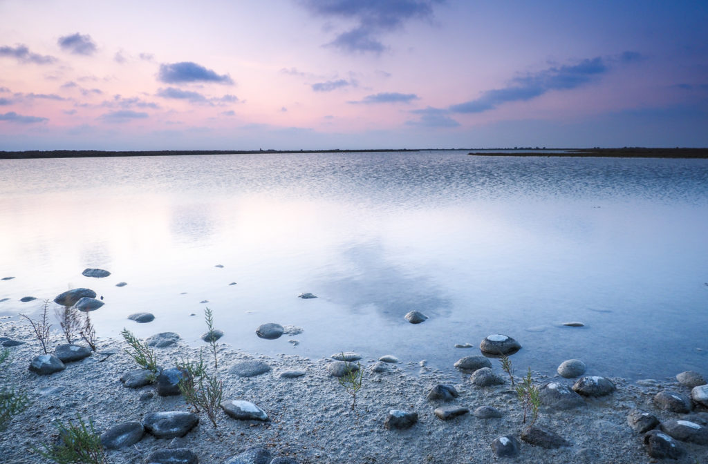 Un oeil sur la Nature | FRANCE – La Camargue au printemps