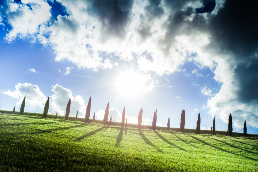 Un oeil sur la Nature | ITALIE – La Toscane au printemps