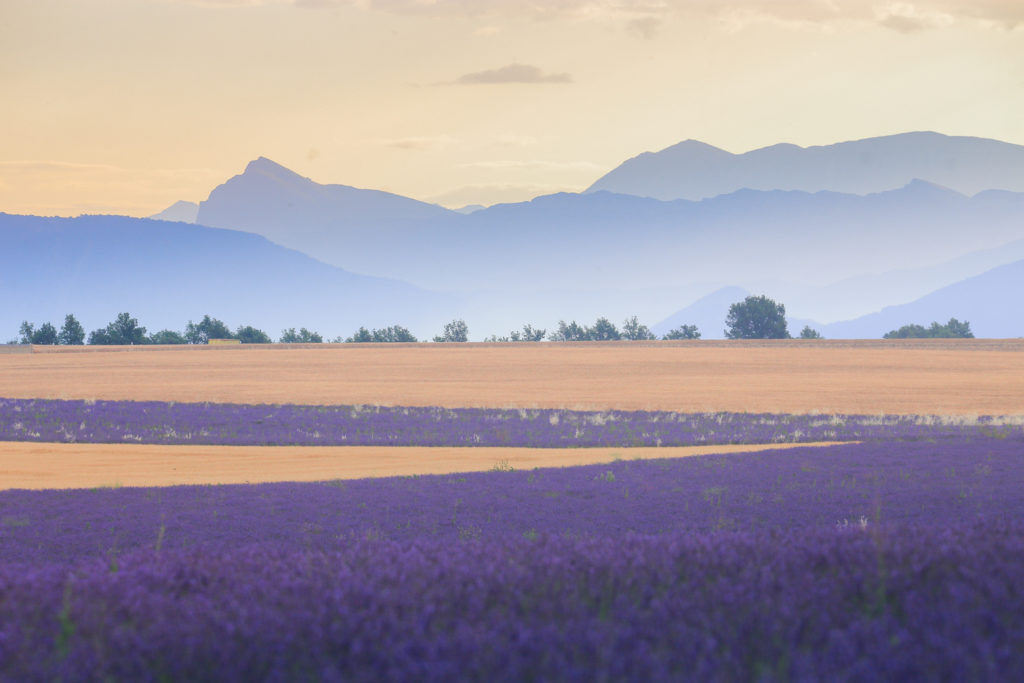 Un oeil sur la Nature | FRANCE – Stage photo en Provence