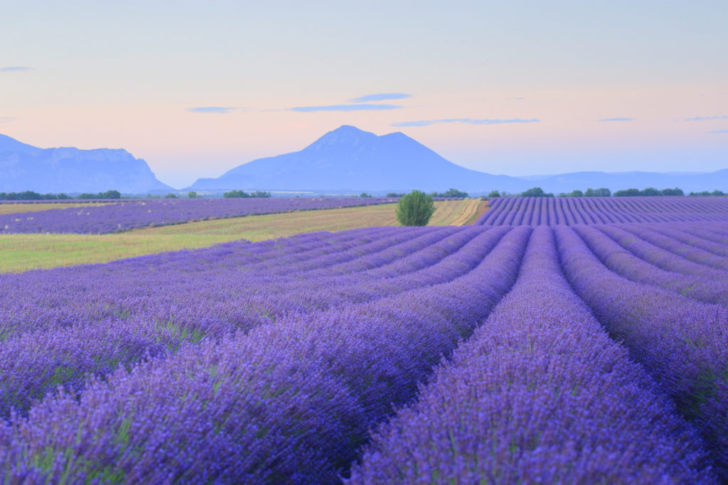 Un oeil sur la Nature | FRANCE – Stage photo en Provence