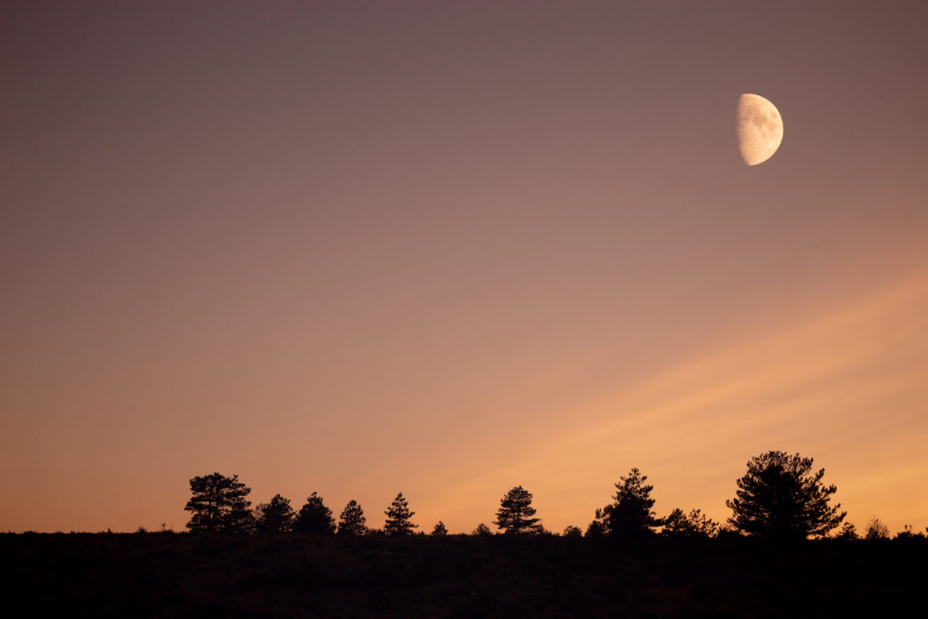 Un oeil sur la Nature | FRANCE – Stage photo en Provence